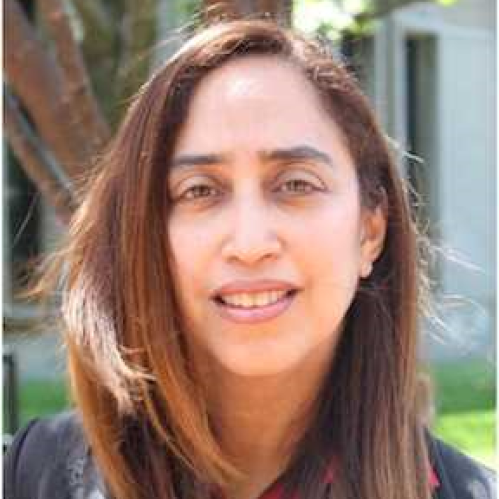 Faculty Diversity Advocate Nela Navarro