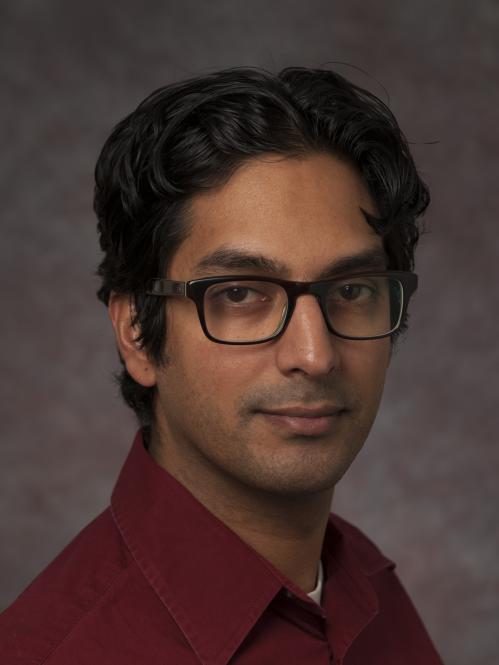 Anand Sarwate