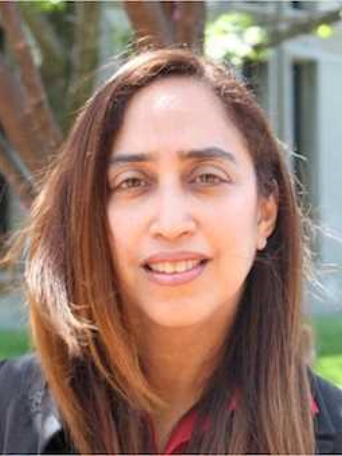 Faculty Diversity Advocate Nela Navarro