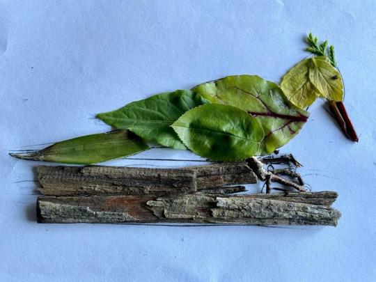 A bird shaped in leaves and bark